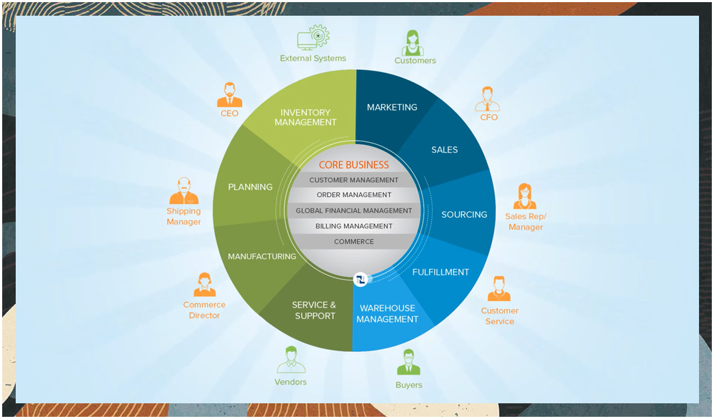 NetSuite for the Operations Manager